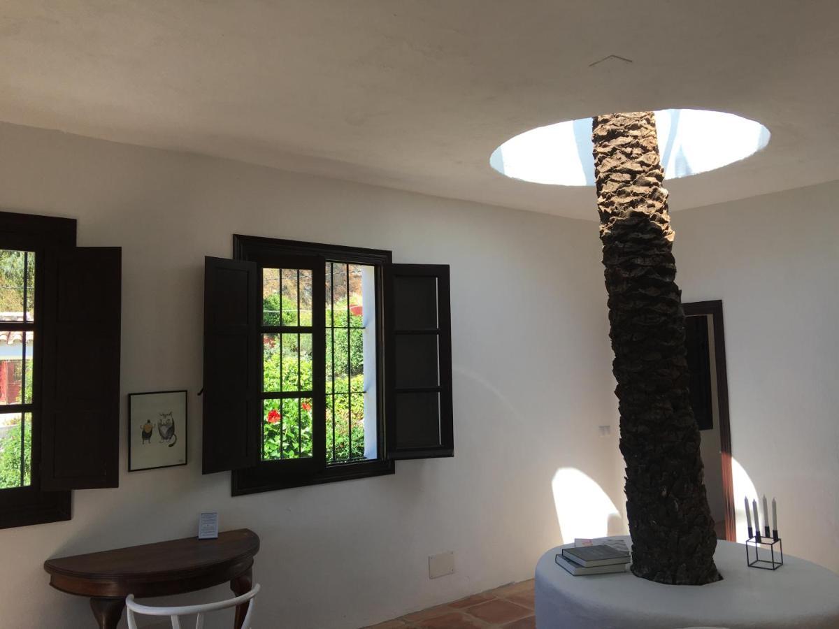 El Molino إِستيبونا المظهر الخارجي الصورة