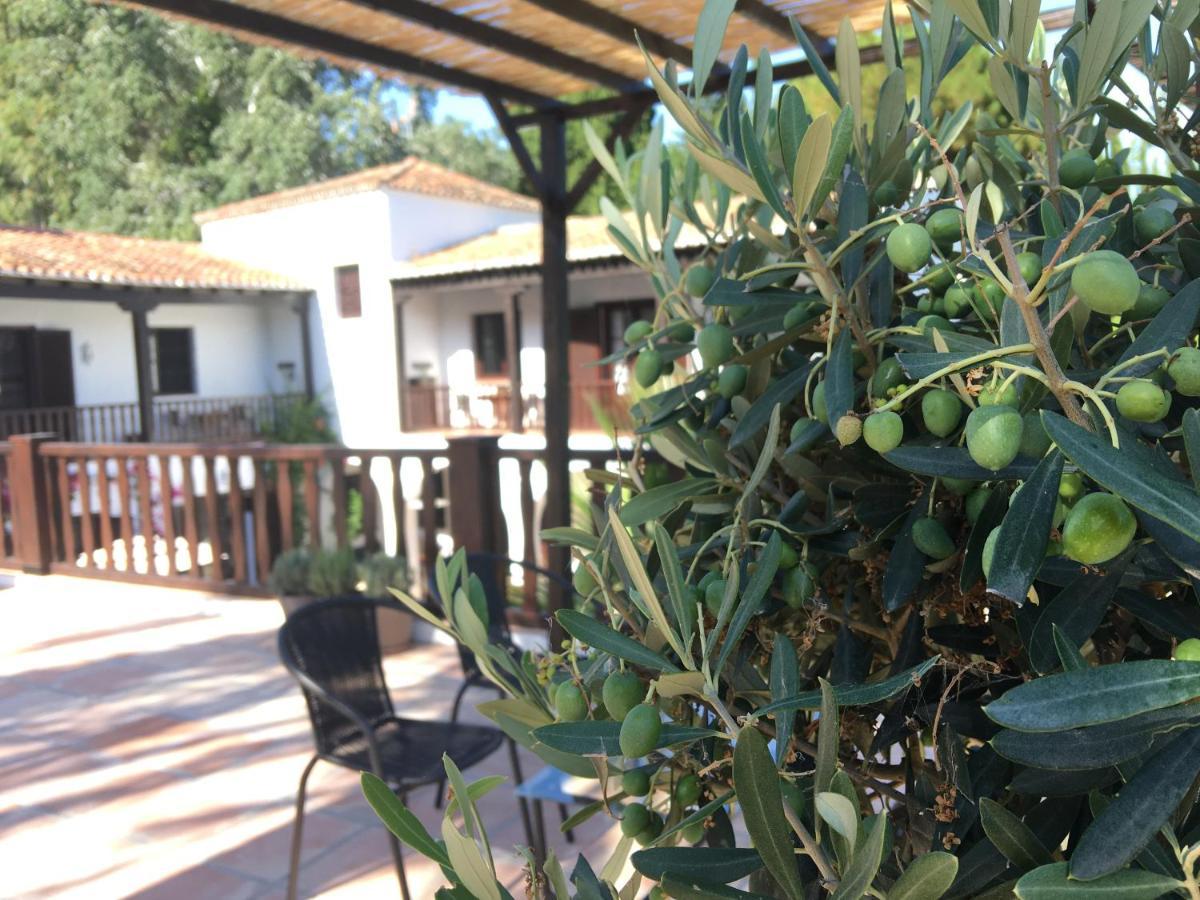 El Molino إِستيبونا المظهر الخارجي الصورة