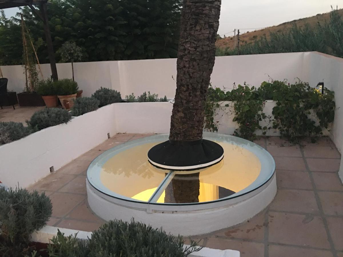 El Molino إِستيبونا المظهر الخارجي الصورة